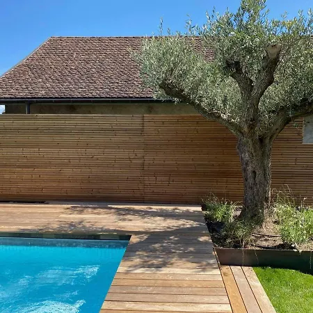Grande Avec Piscine Sur La Cote Βίλα Bursins